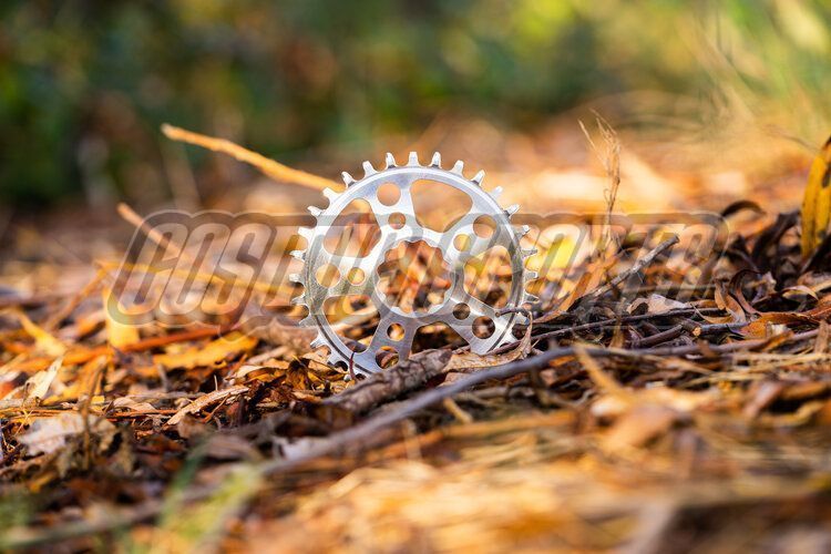 WHITE INDUSTRIES MR30 TSR BOOST DIRECT MOUNT CHAINRING, POLISHED SILVER, 40 Z. WHITE INDUSTRIES MR30 TSR BOOST DIRECT MOUNT CHAINRING, POLISHED SILVER, 40 Z.