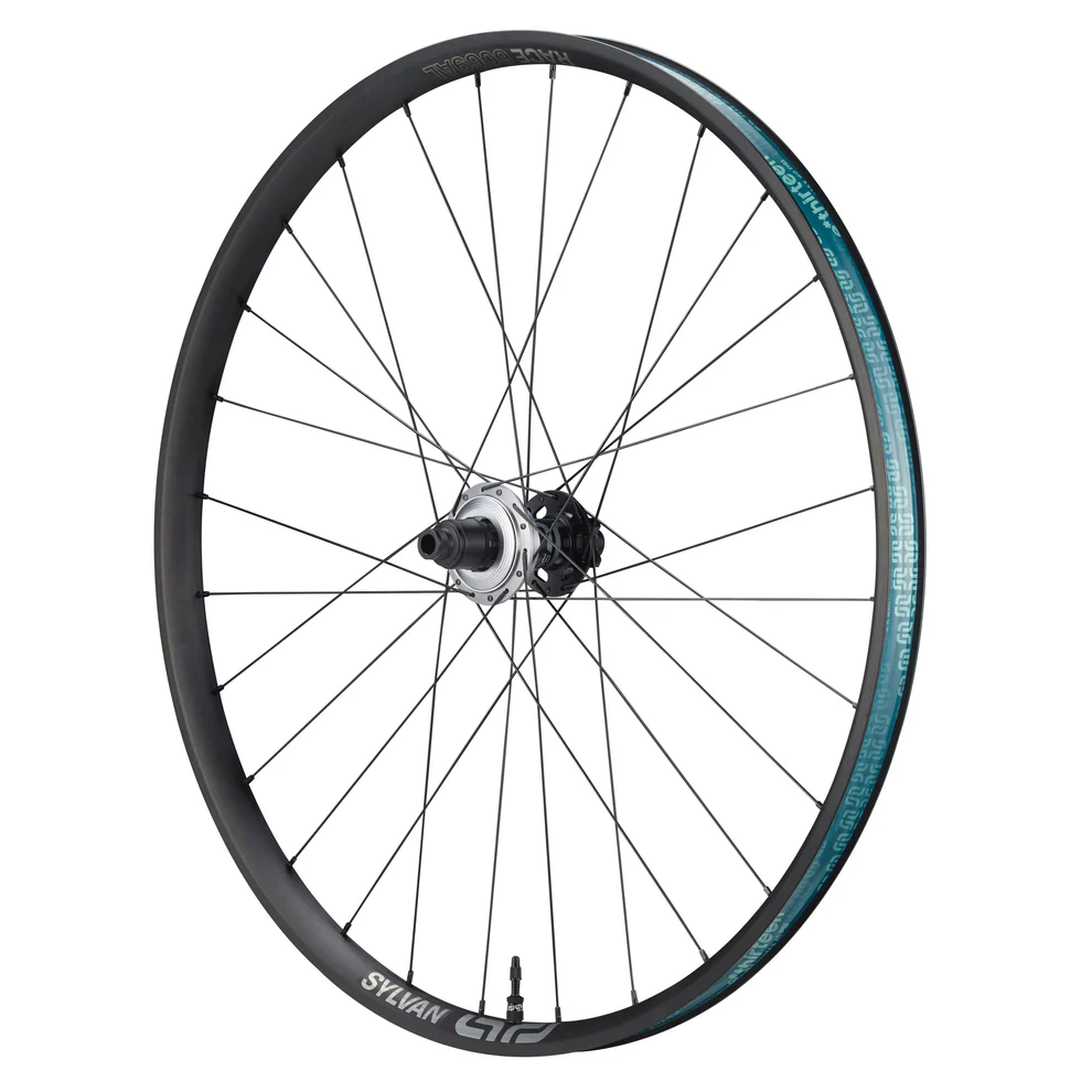 E*THIRTEEN SYLVAN SIDEKICK RACE AM BOOST WHEEL RW, 29", 148X12MM, 28 H., 30MM, MICROSPLINE, BLACK E*THIRTEEN SYLVAN SIDEKICK RACE AM BOOST WHEEL RW, 29", 148X12MM, 28 H., 30MM, MICROSPLINE, BLACK