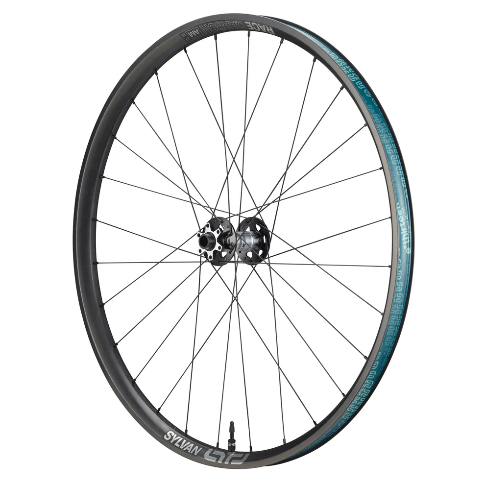 E*THIRTEEN SYLVAN SIDEKICK RACE AM CARBON BOOST WHEEL FW, 29", 110X15MM, 28 H., 30MM, BLACK E*THIRTEEN SYLVAN SIDEKICK RACE AM CARBON BOOST WHEEL FW, 29", 110X15MM, 28 H., 30MM, BLACK