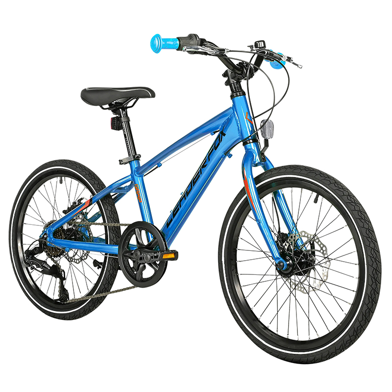 VELO MUSCULAIRE VTT 20 LEADER FOX GAMP 2025 GARCON BLEU 6V (TAILLE ENFANT 120 à 135 CM) VELO MUSCULAIRE VTT 20 LEADER FOX GAMP 2025 GARCON BLEU 6V (TAILLE ENFANT 120 à 135 CM)