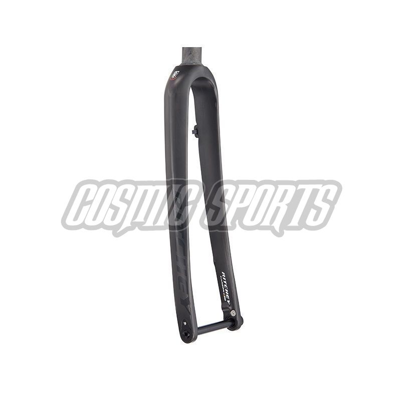 RITCHEY WCS CARBON GRAVEL DISC FORK, 700C, 28.6-30, 47MM, 383MM, 100/12MM, FLAT MOUNT
