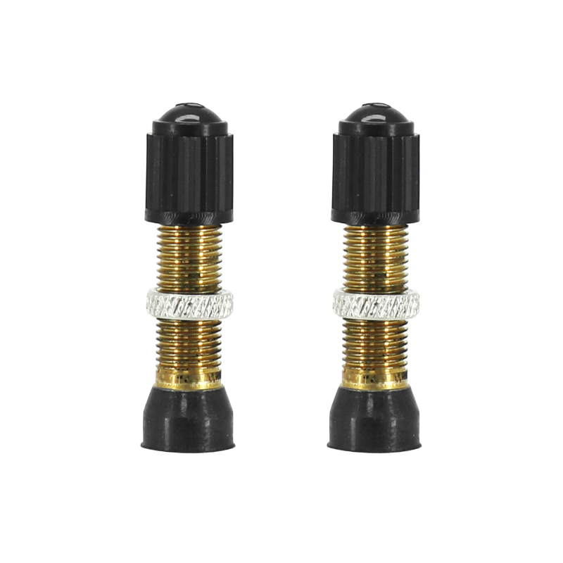 VALVE DE PNEU TUBELESS SCHRADER ARGENT 44MM OBUS DEMONTABLE (VENDU A LA PAIRE SUR CARTE) VALVE DE PNEU TUBELESS SCHRADER ARGENT 44MM OBUS DEMONTABLE (VENDU A LA PAIRE SUR CARTE)
