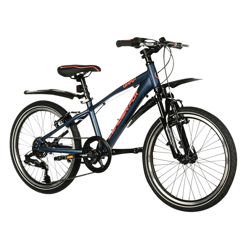 VELO MUSCULAIRE VTT 20 LEADER FOX GAMP GARCON BLEU NUIT MAT 6V (TAILLE ENFANT 120 à 135 CM)