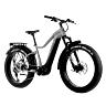 VELO ELECTRIQUE-VAE VTT FAT BIKE 26 LEADER FOX BRASA VERT KAKI 11V MOTEUR CENTRAL PANASONIC GX ULTIMATE 36V 90NM BATTERIE 20AH (20'' - H47CM - TAILLE L - POUR ADULTE DE 178CM à 190CM)