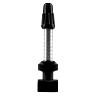 VALVE DE PNEU TUBELESS PRESTA DT SWISS VTT 32 MM ALU ARGENT OBUS DEMONTABLE (VENDU A L'UNITE)