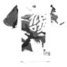 TROY LEE DESIGNS FLOWLINE SS JERSEY, CONFINED, MIST, YOUTH S, S