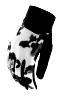 TROY LEE DESIGNS WOMENS LUXE GLOVE, TORTOISE, CREAM, M