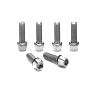 RITCHEY COMP/WCS 4AXIS STEM BOLTS, 6 PCS., STAINLESS STEEL, SILVER