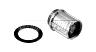 RITCHEY WCS APEX/ZETA FREEHUB BODY, SHIMANO/SRAM 10-FACH