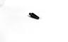 CANE CREEK ELASTOMER BULLET TOOL, EESILK 2.0 | EESILK+
