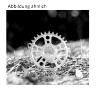 WHITE INDUSTRIES ENO17 TSR DIRECT MOUNT CHAINRING, BLACK, 32 Z.