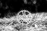 WHITE INDUSTRIES ENO17 TSR DIRECT MOUNT CHAINRING, POLISHED SILVER, 36 Z.