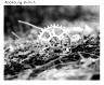 WHITE INDUSTRIES MR30 TSR BOOST DIRECT MOUNT CHAINRING, BLACK, 42 Z.