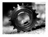 WHITE INDUSTRIES ENO REPLACEMENT COG, 1,37 X 24TPI, 3/32", 19 Z.