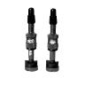 E*THIRTEEN QUICK FILL TUBELESS PRESTA VALVES, 23-31MM DEPTH, 2 PCS., EGGPLANT